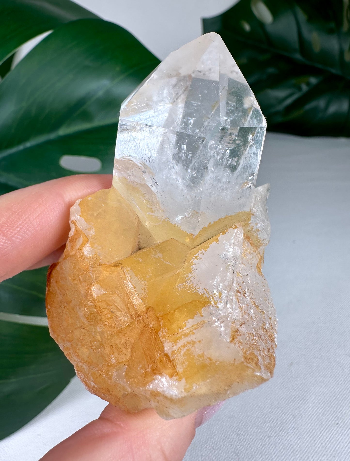 Himalaya Quarz Spitze Nr.53HG