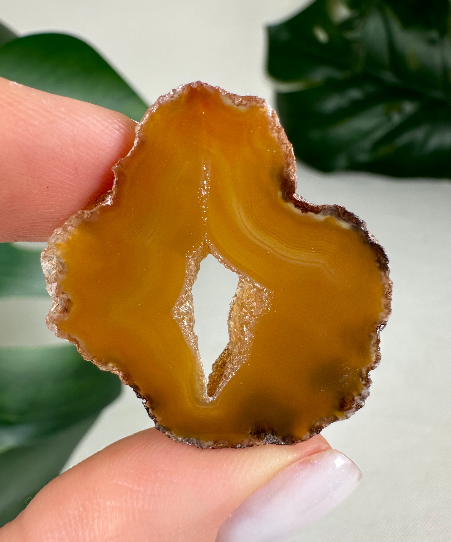 Coyamito Agate Slice - Yellow - Selection