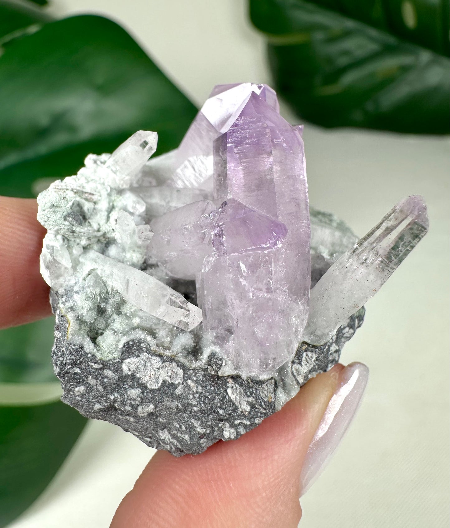Vera Cruz Amethyst Nr.70VC