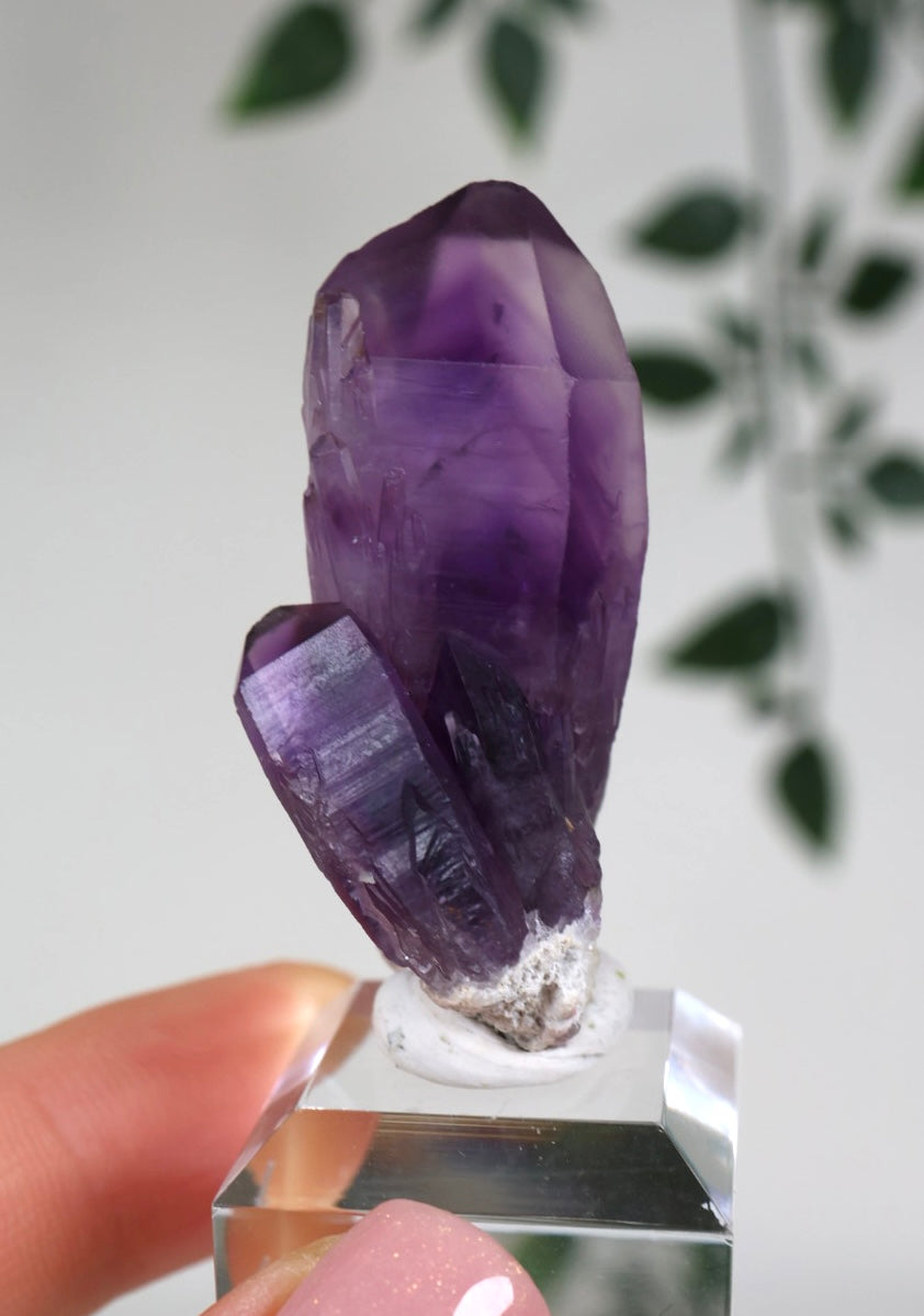 Amethyst - Neufund Nr.47AK