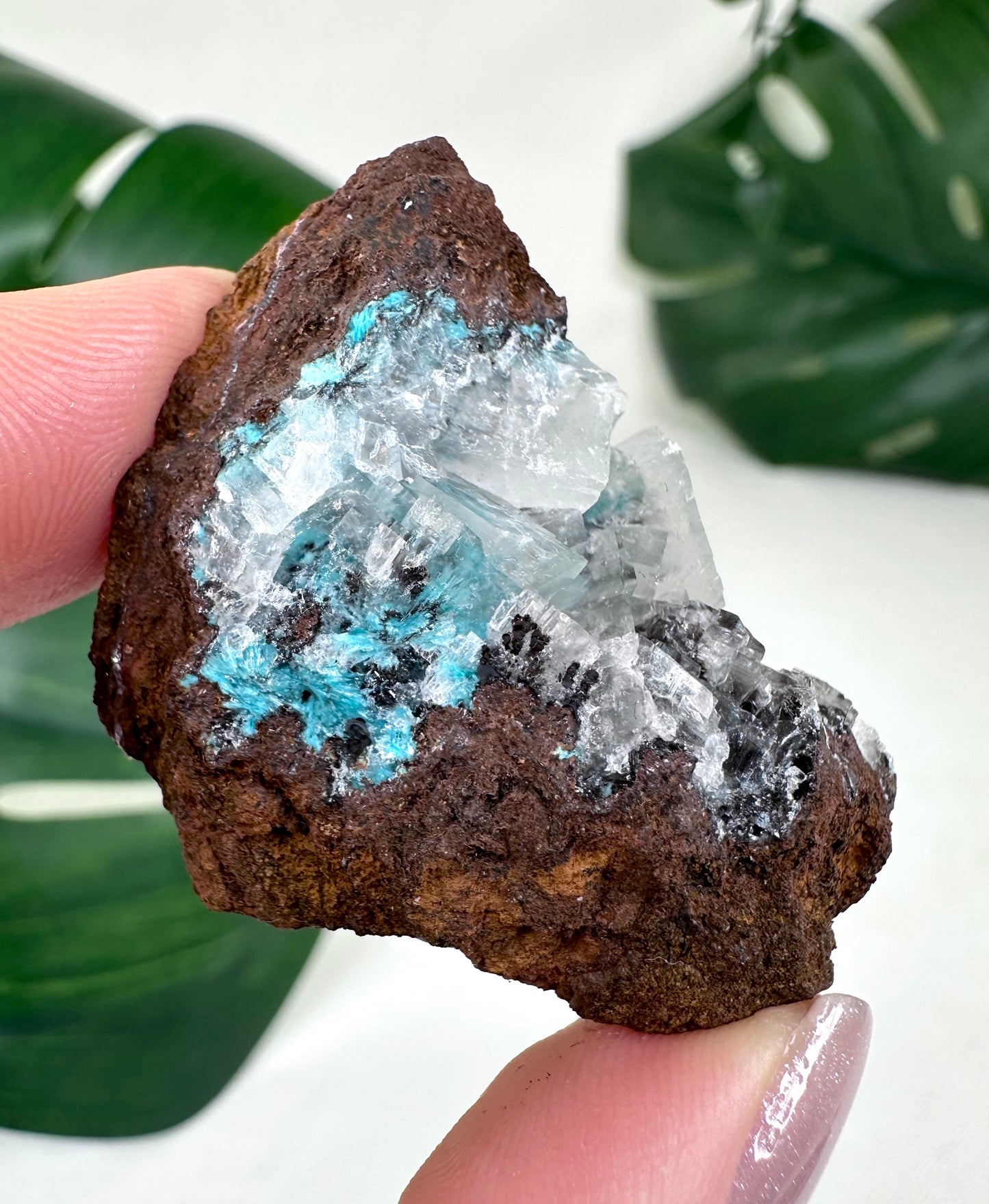Aurichalcite No. 18AC