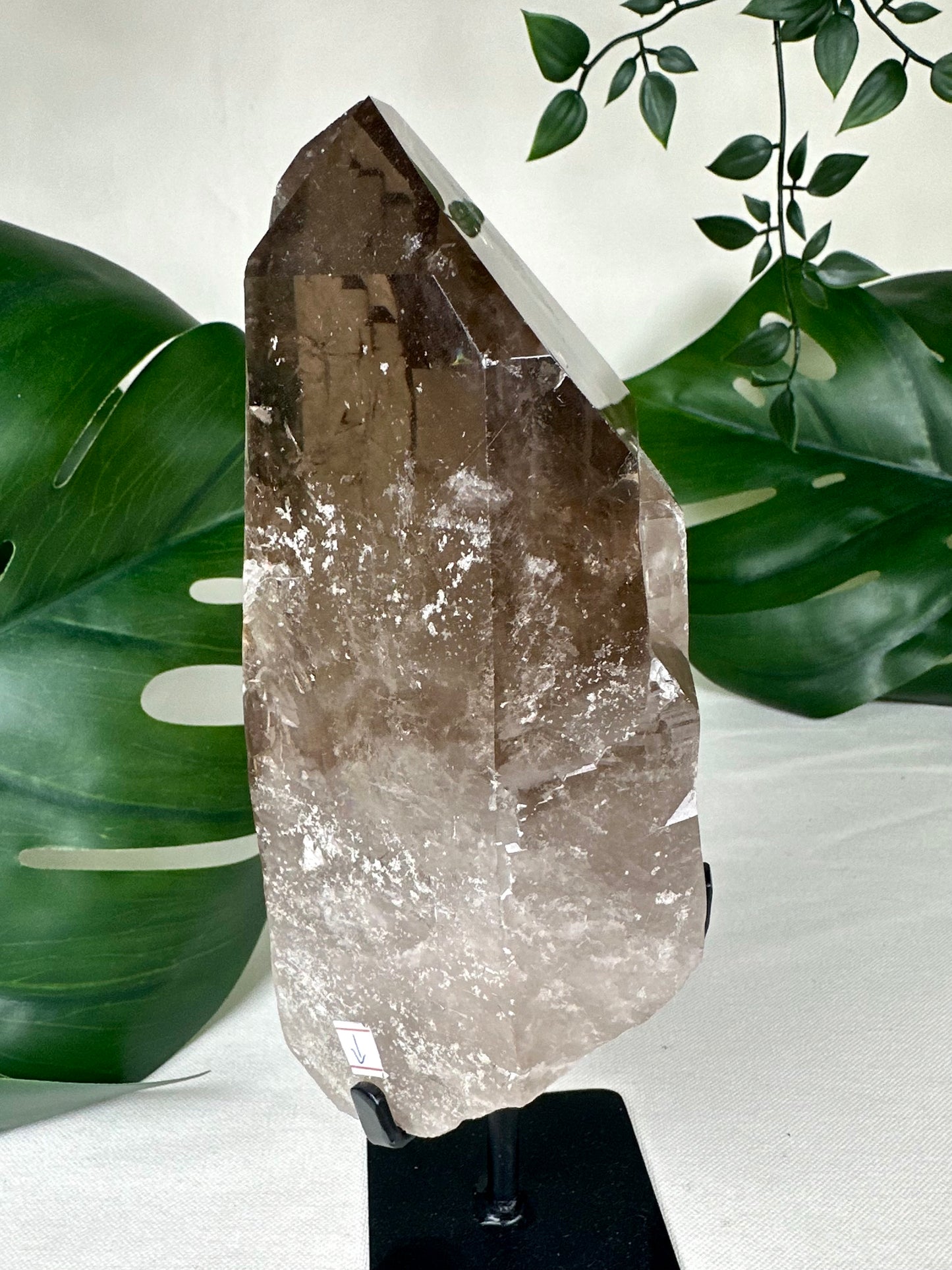 Rauchquarz Lemurian XL Nr.630LR