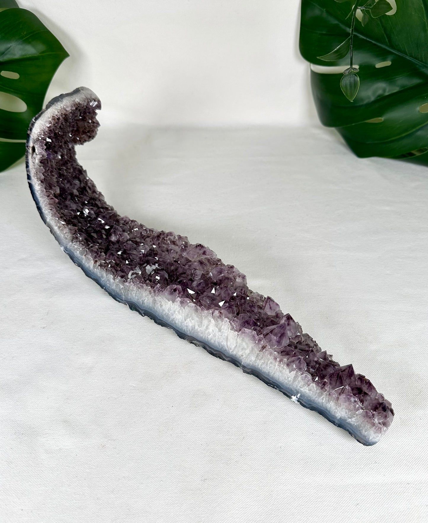Amethyst Cluster XL Nr.370AC
