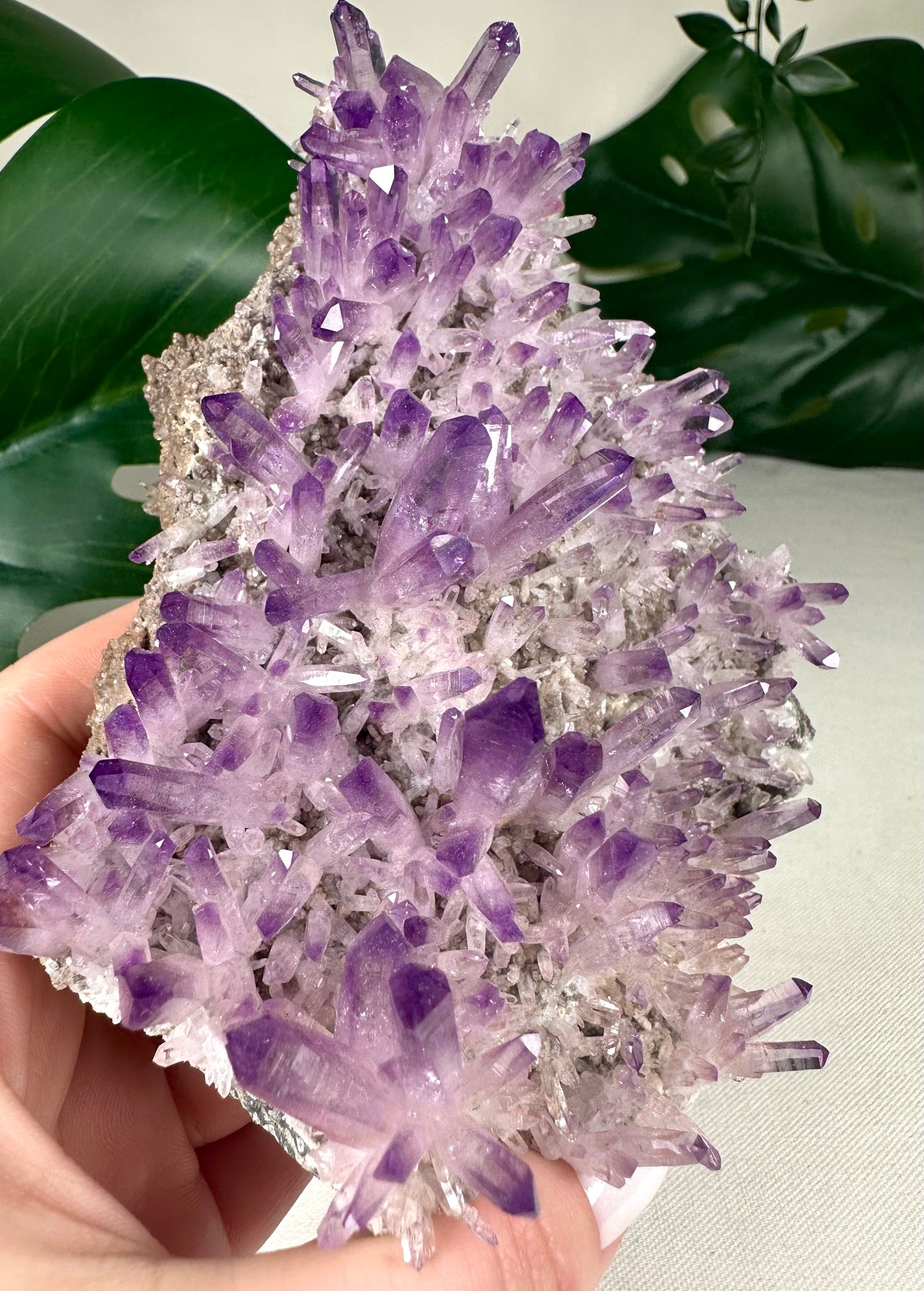 Vera Cruz Amethyst XL Nr.1149VA