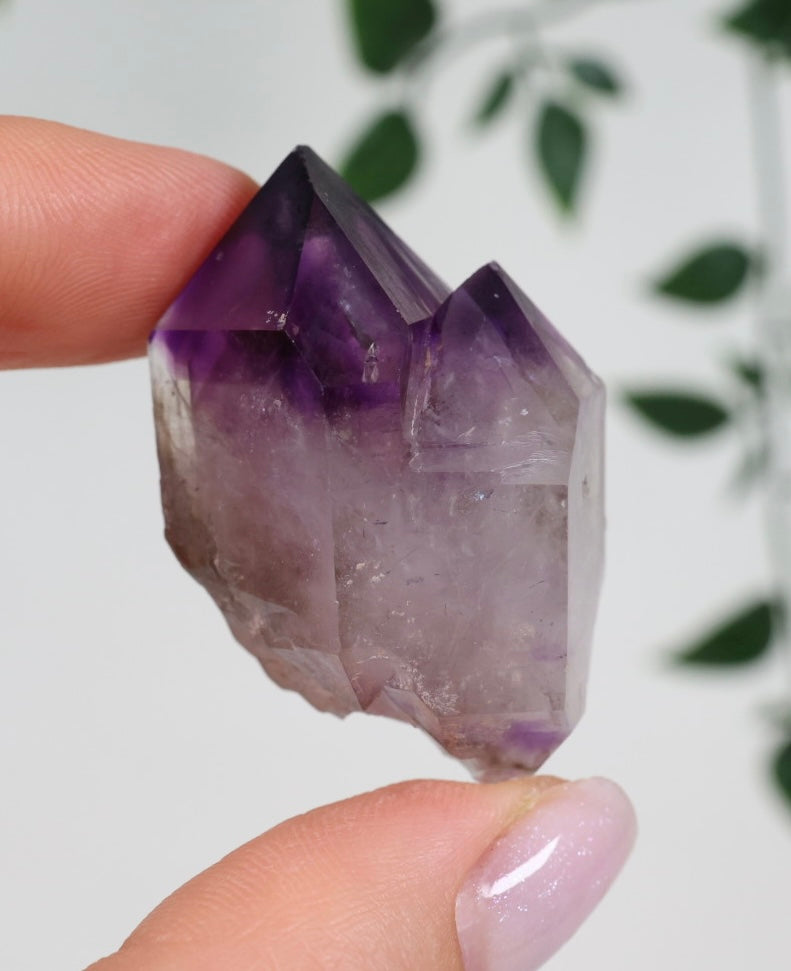 Shangaan Amethyst x Rauchquarz Nr.29SA