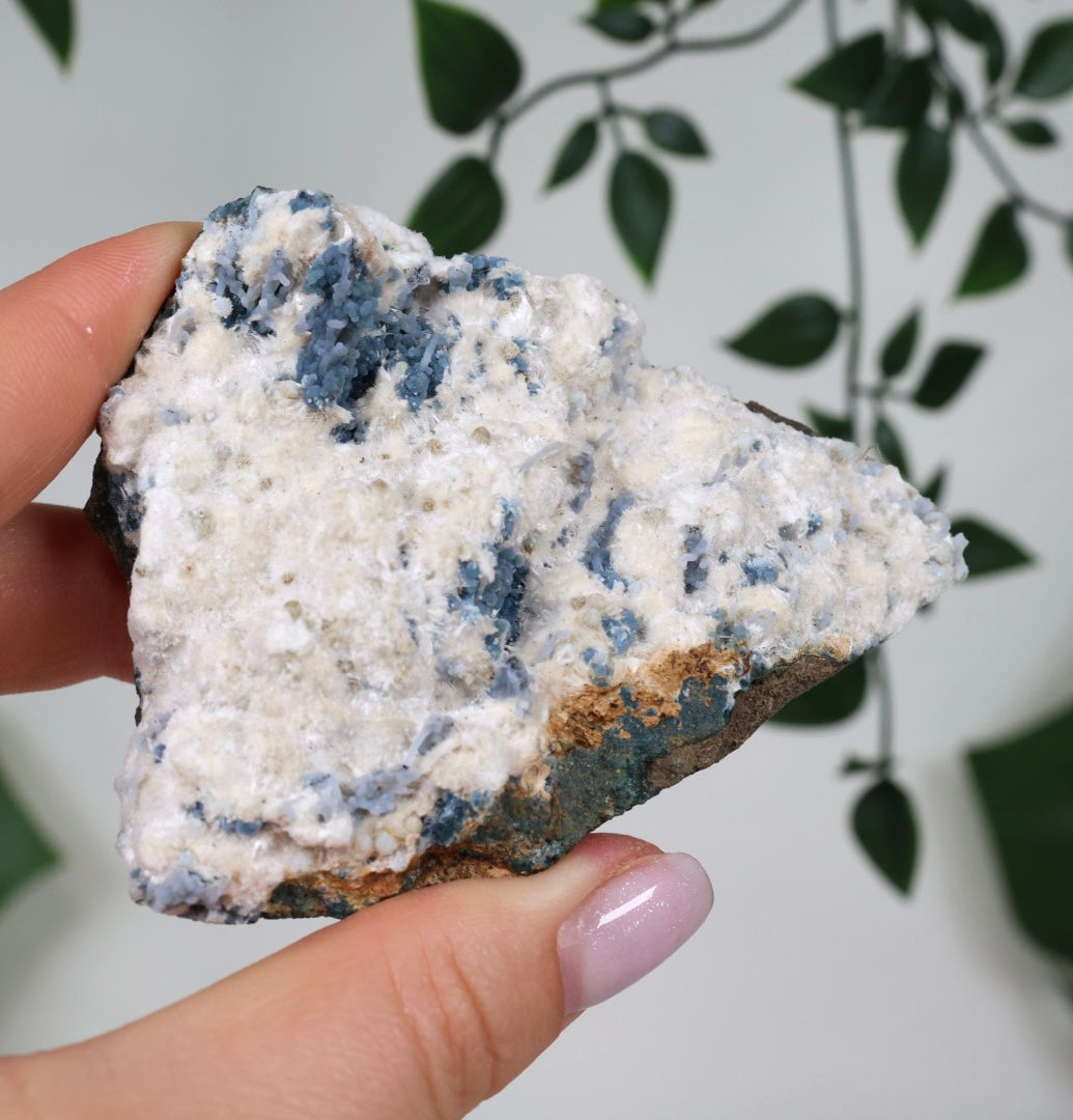 Blauer Chalcedon x Okenit Nr.55CO