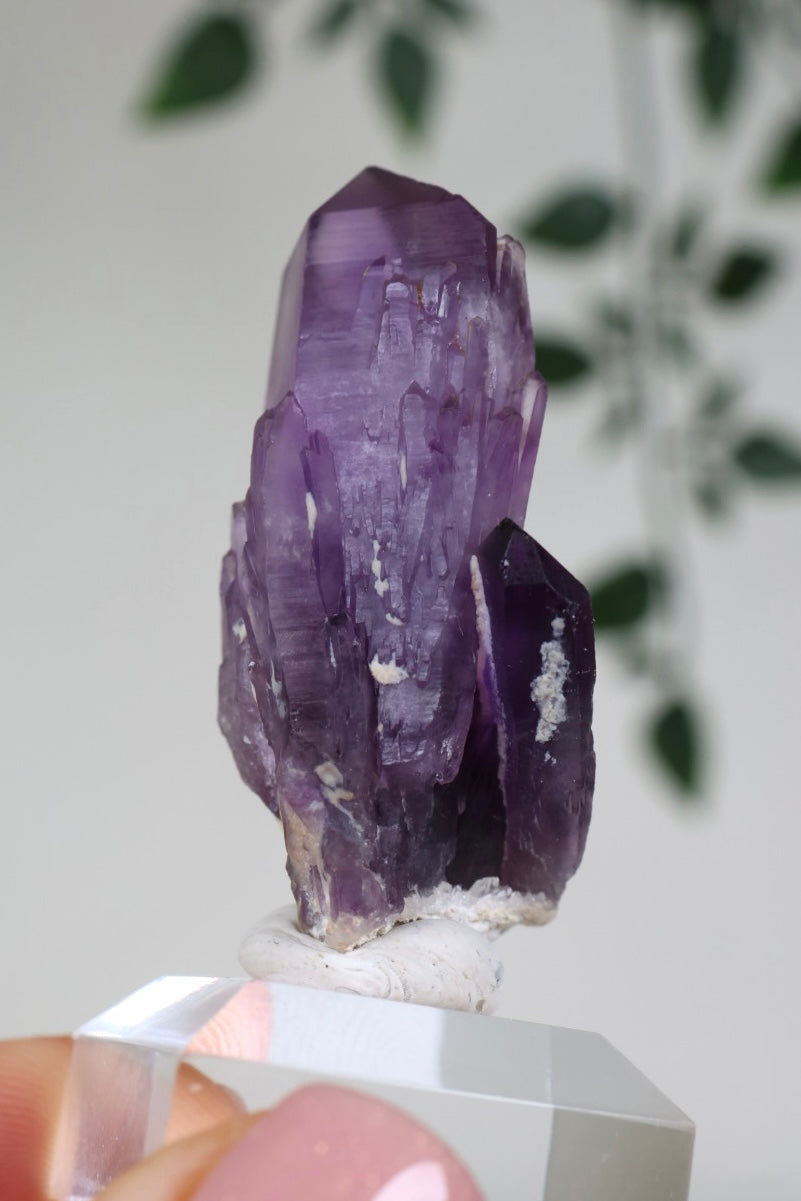 Amethyst - Neufund Nr.47AK