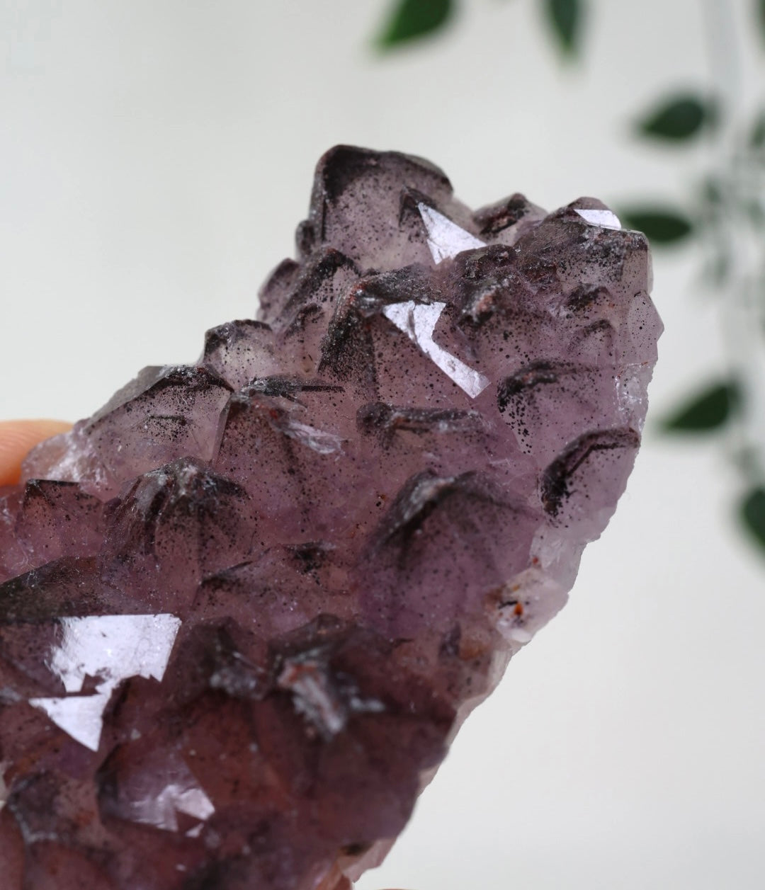 Amethyst x Hämatit Nr.32AH