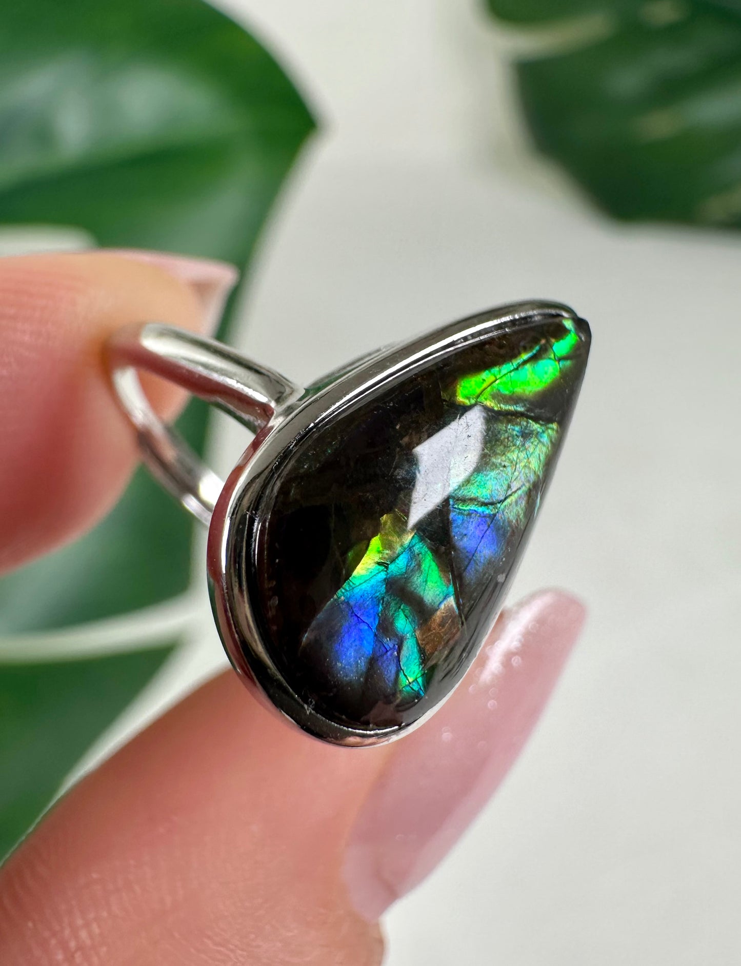Ammolite ring in 925 silver No.110A1