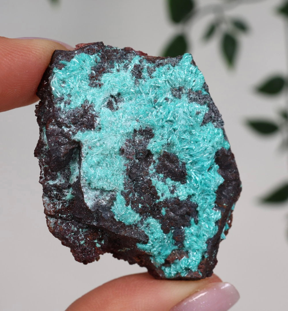 Aurichalcite Nr.30AR