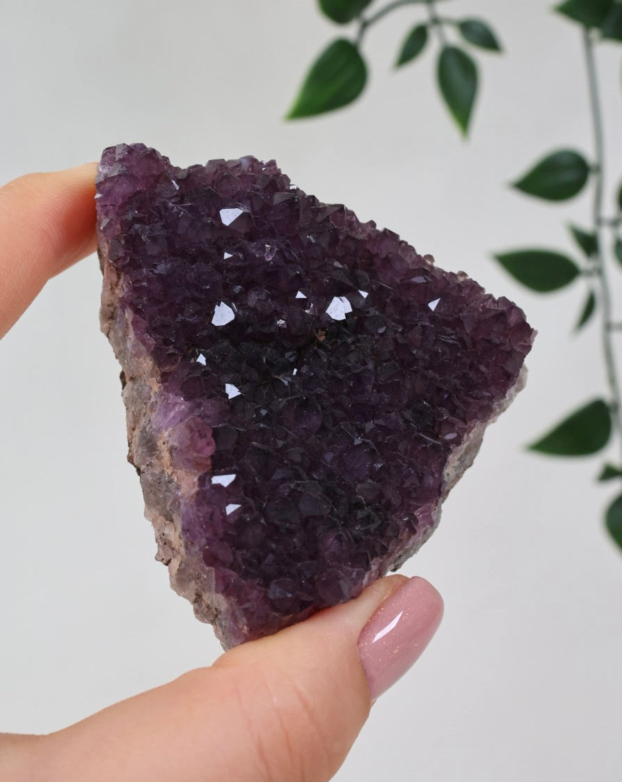 Alacam Amethyst Nr.30AC