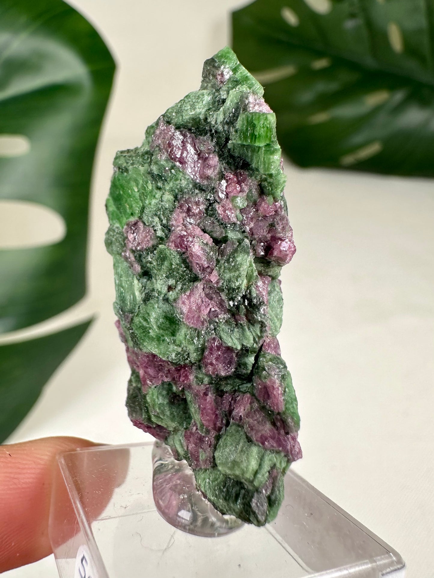 Pyrop Granat x Chromdiopsid Nr.59PC