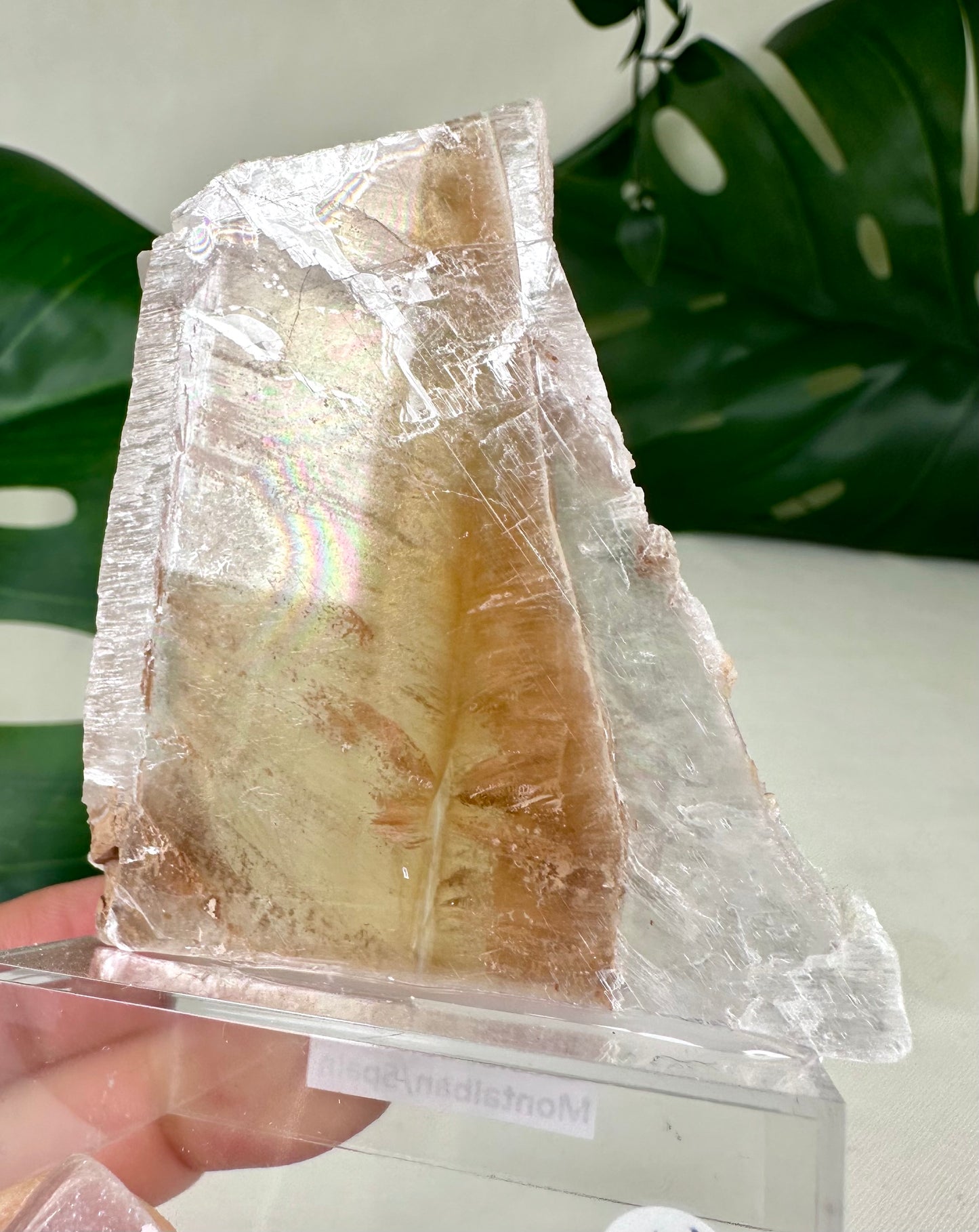 Bicolor Selenite No. 36BS