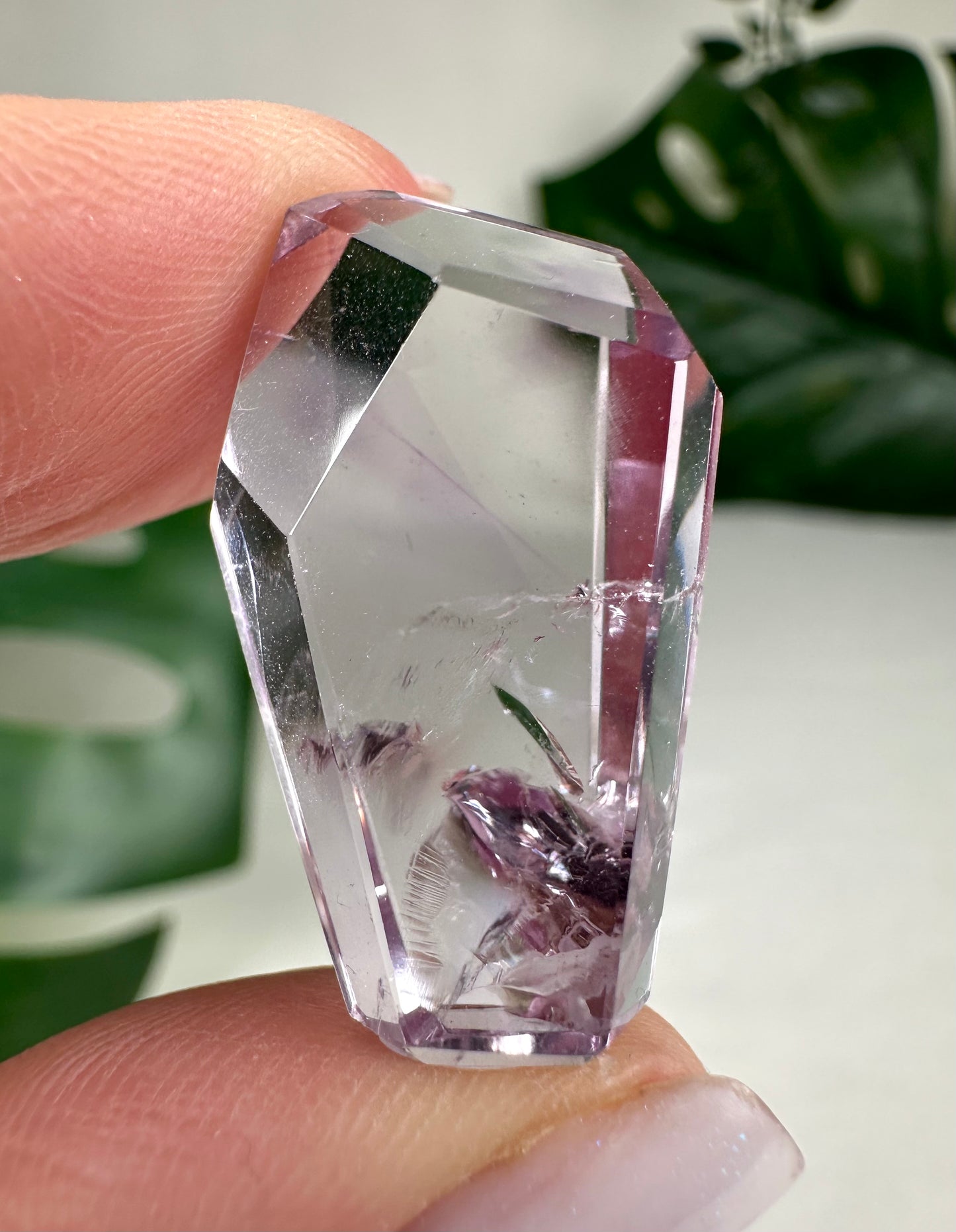 Rose de France Amethyst - Selection
