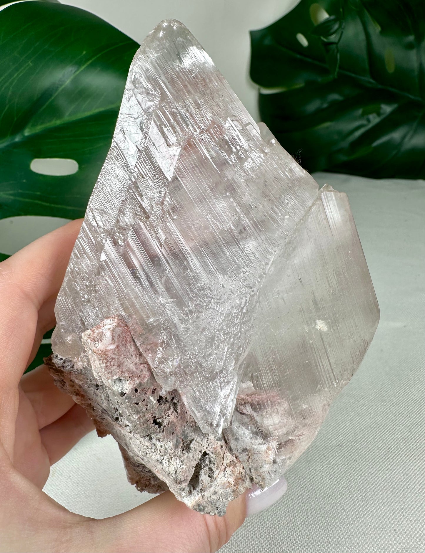 Naica Selenit mit beweglichen Blasen Nr.525NS