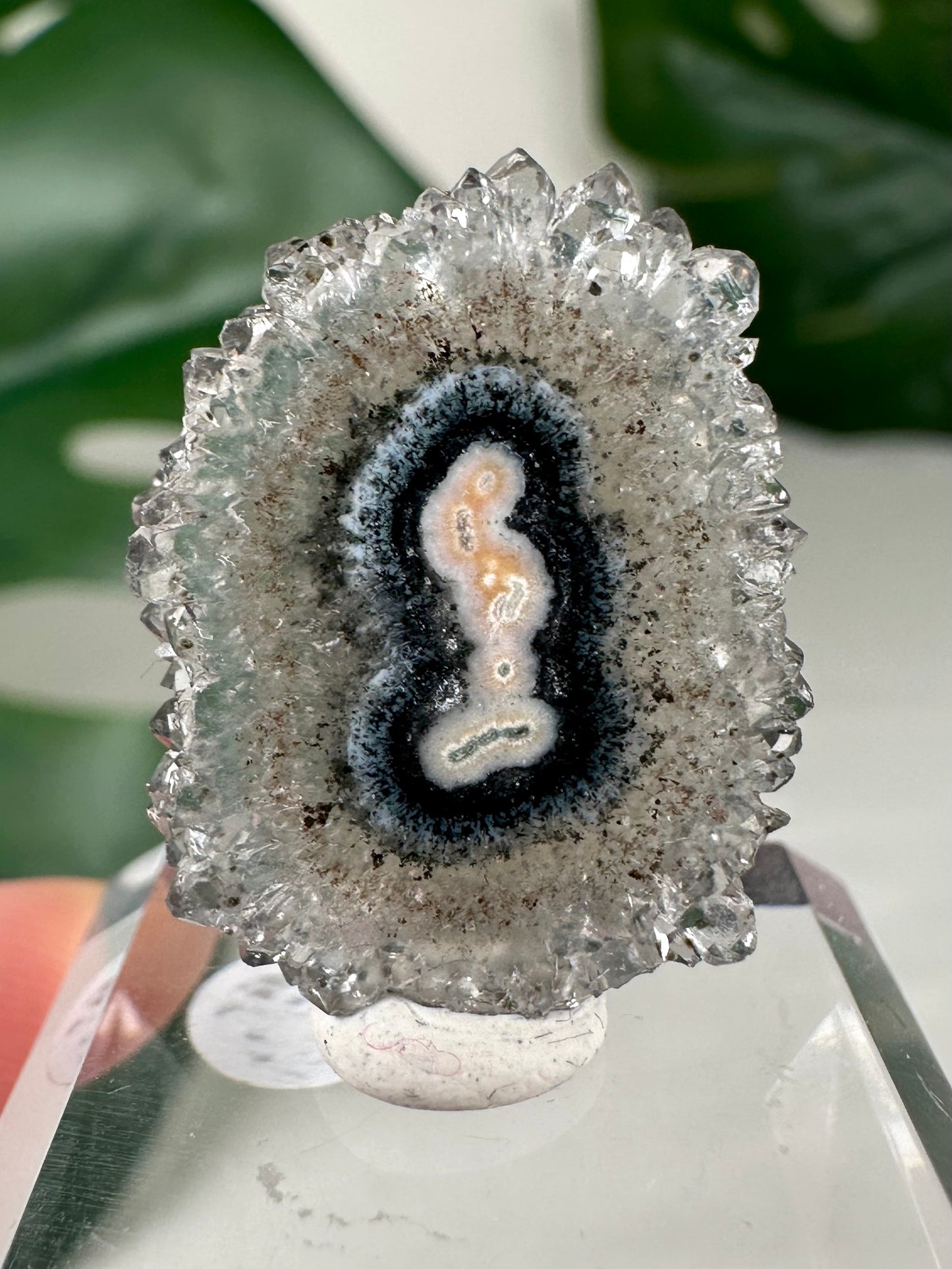 Stalactite Disc - Selection