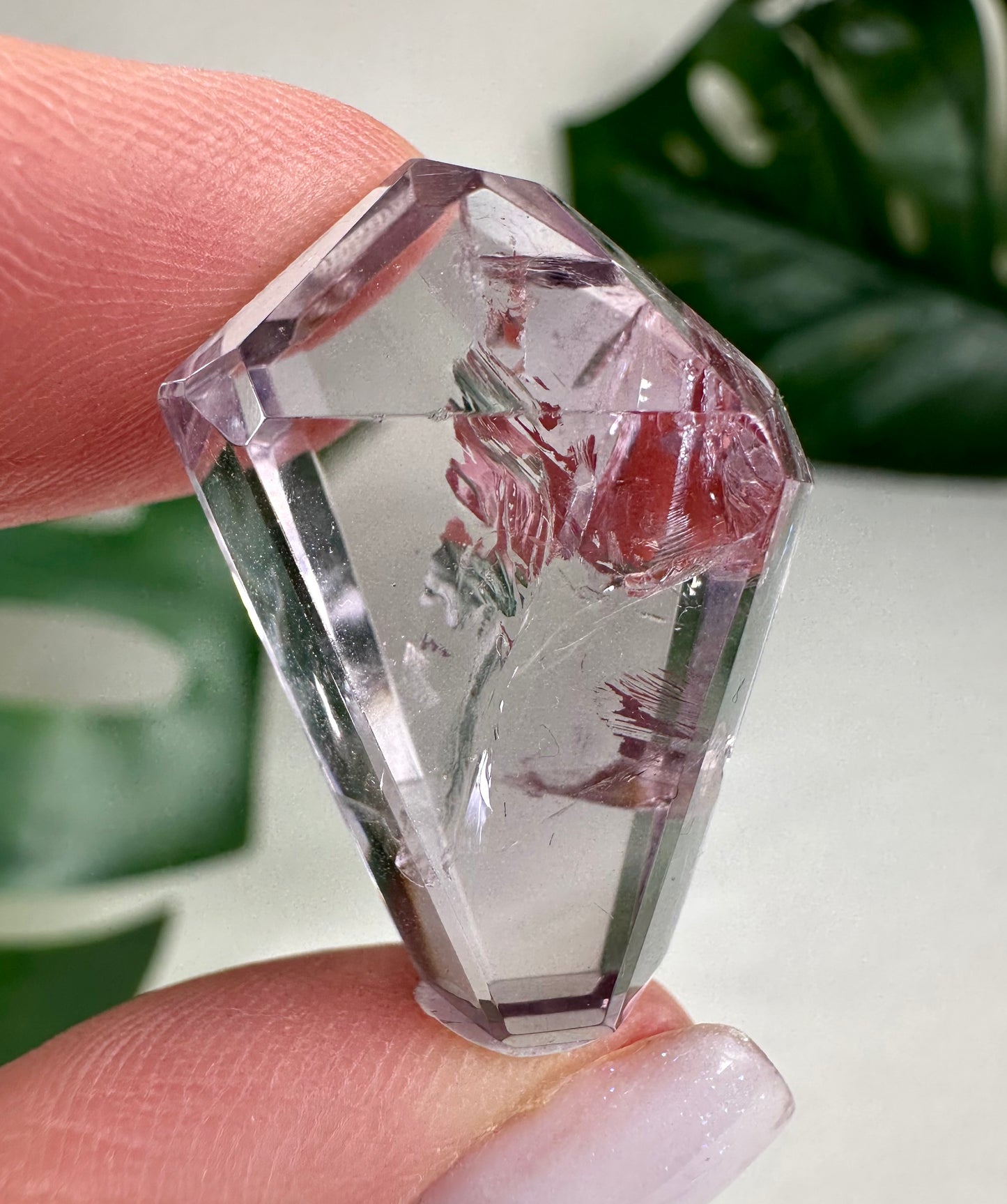 Rose de France Amethyst - Selection