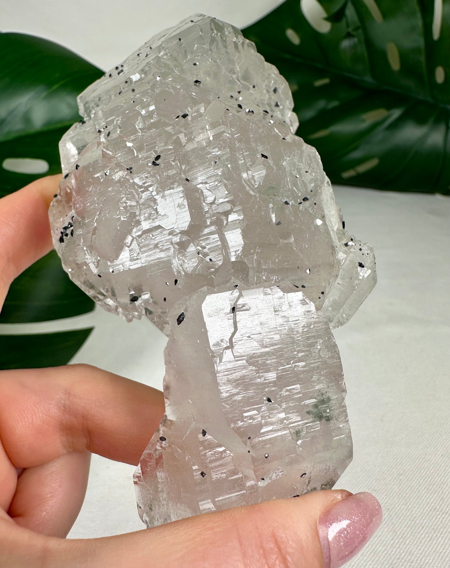 Himalaya Quarz 'Nirvana' mit Anatas Nr.1449HQ
