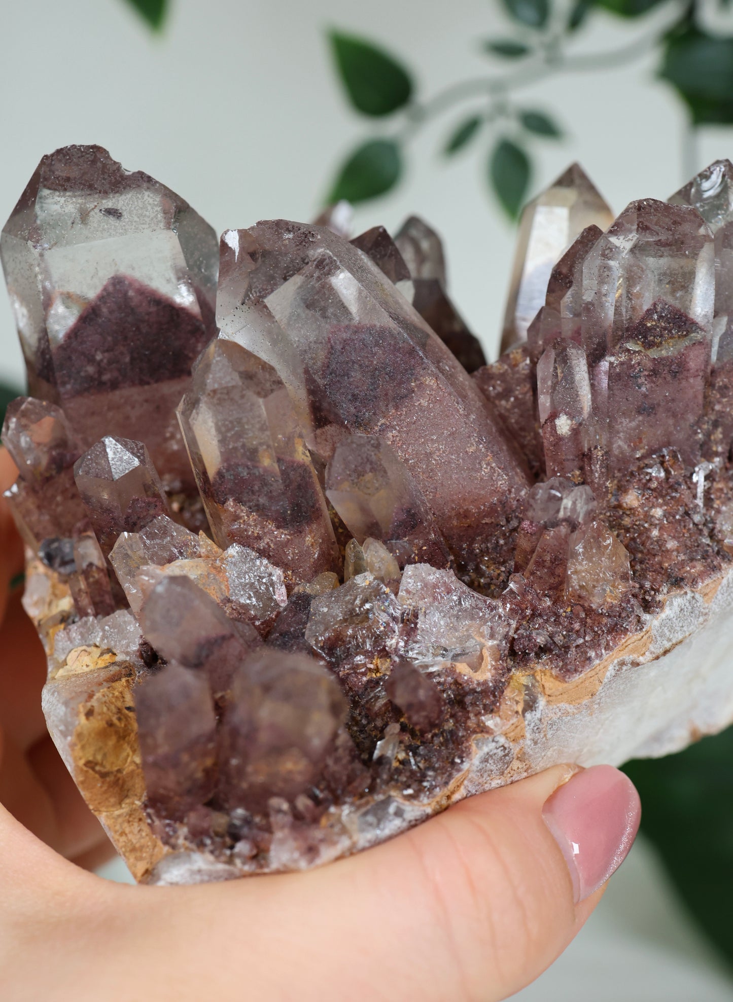 Sunset Quarz Nr.298SQ