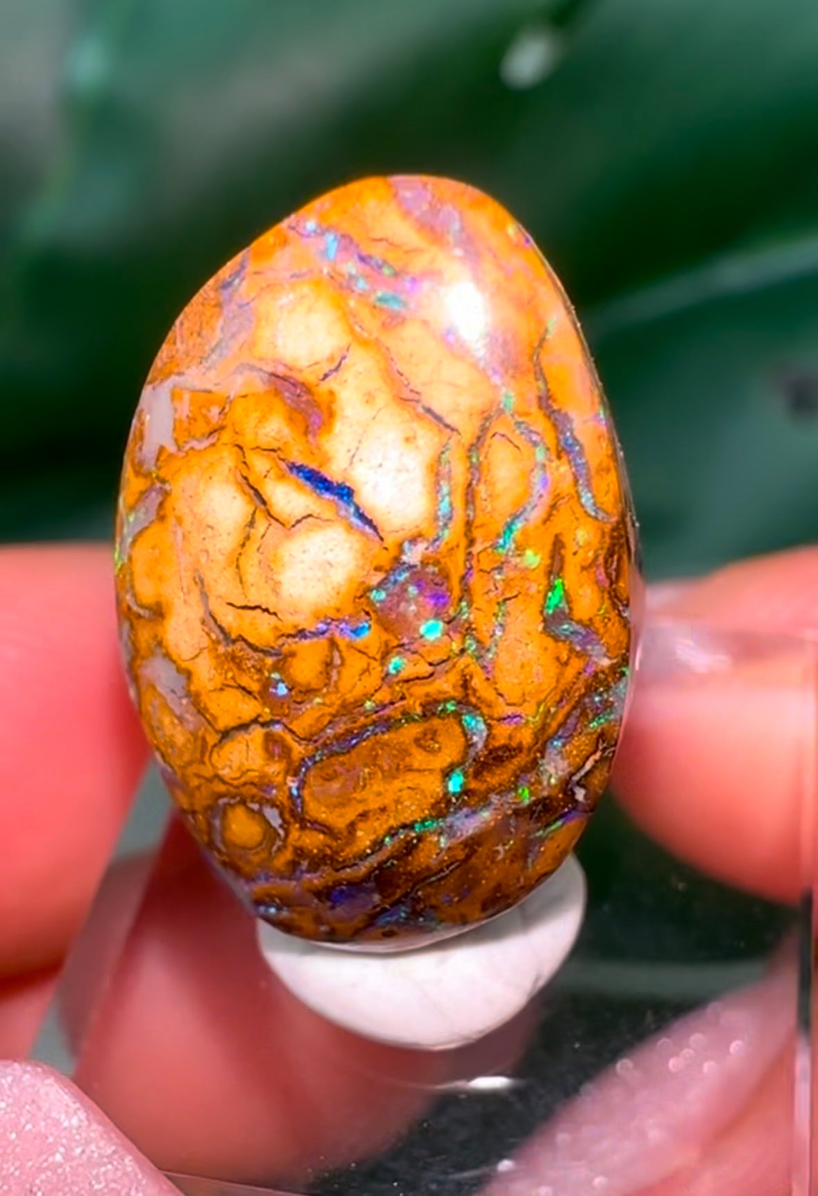 Koroit Nuss Boulder Opal Nr.290KO