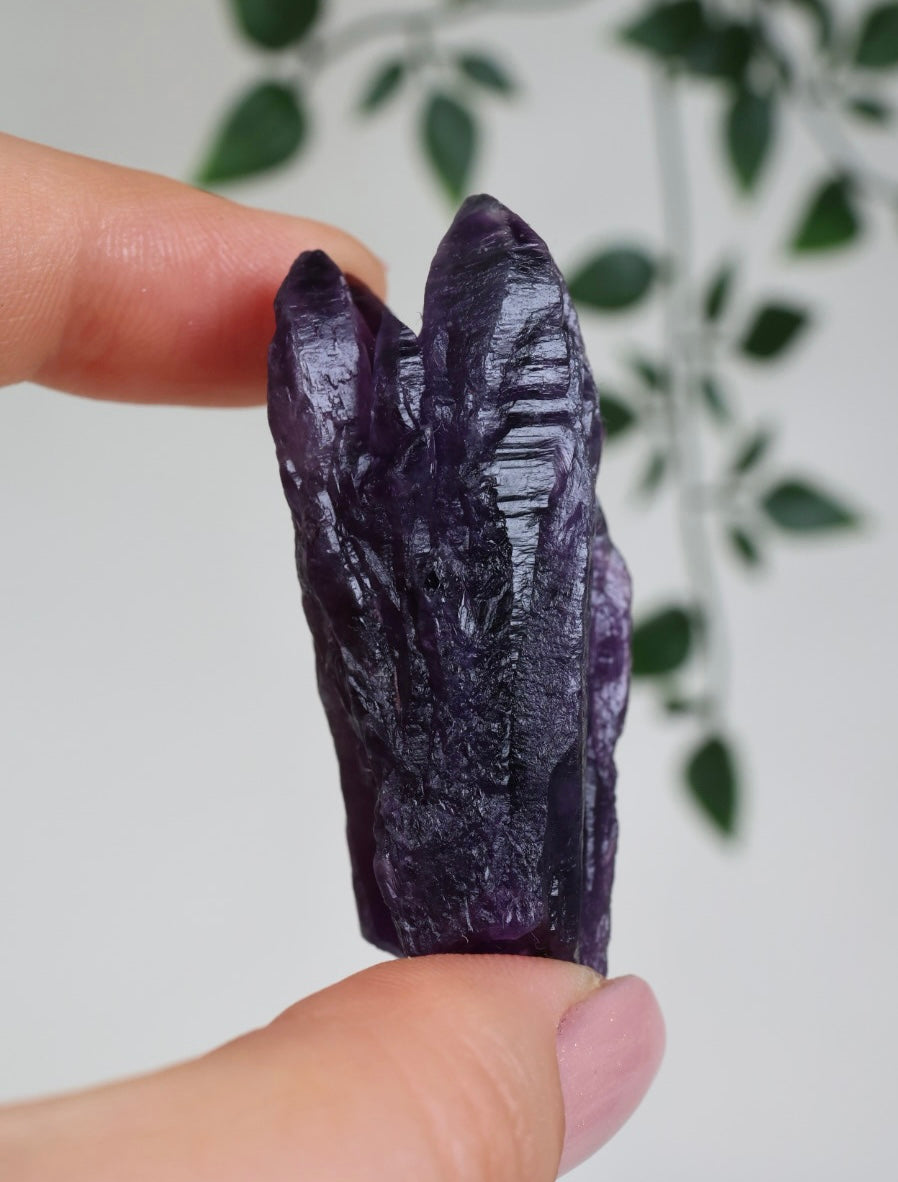 Amethyst - Neufund Nr.43A2