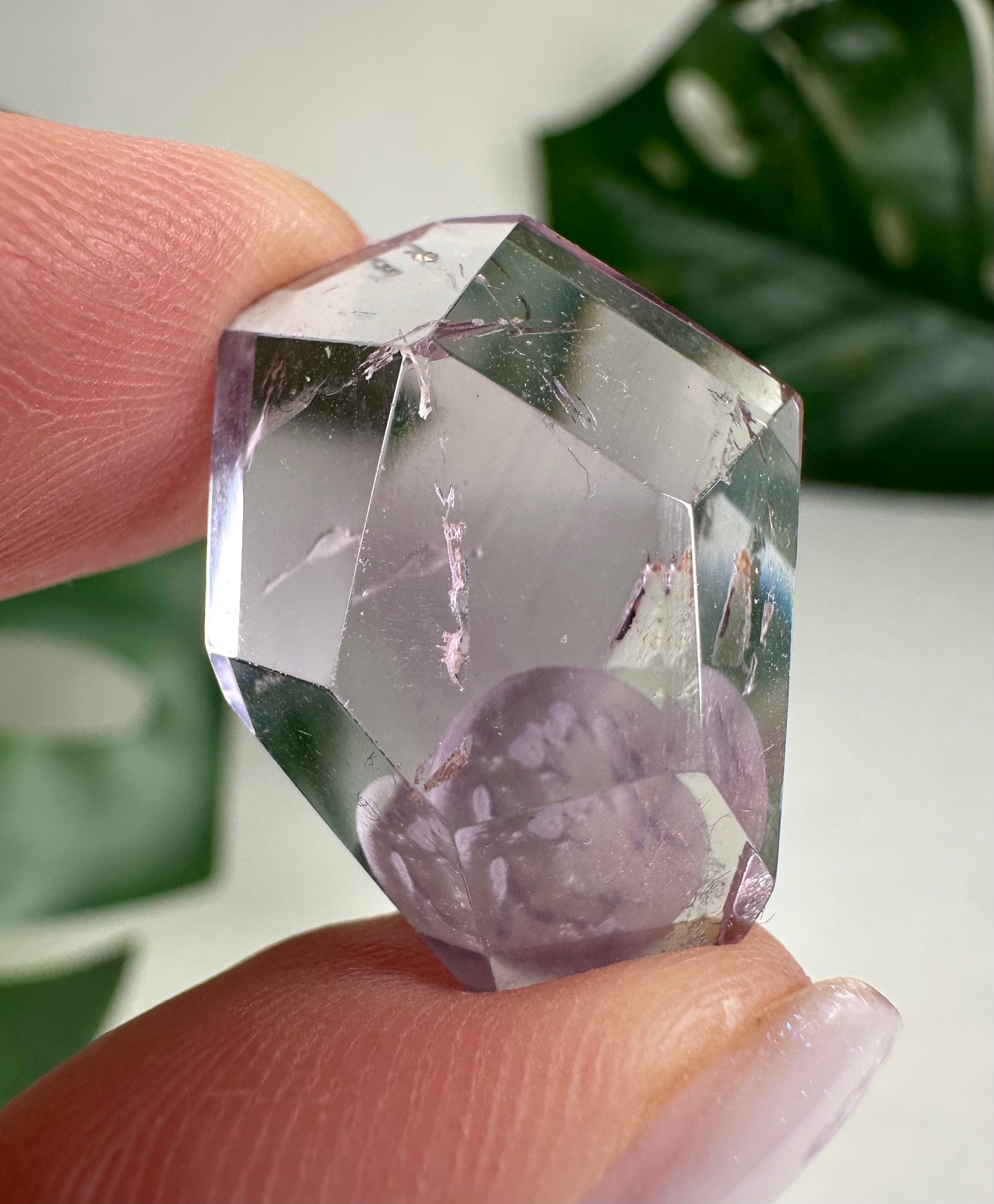 Rose de France Amethyst - Selection