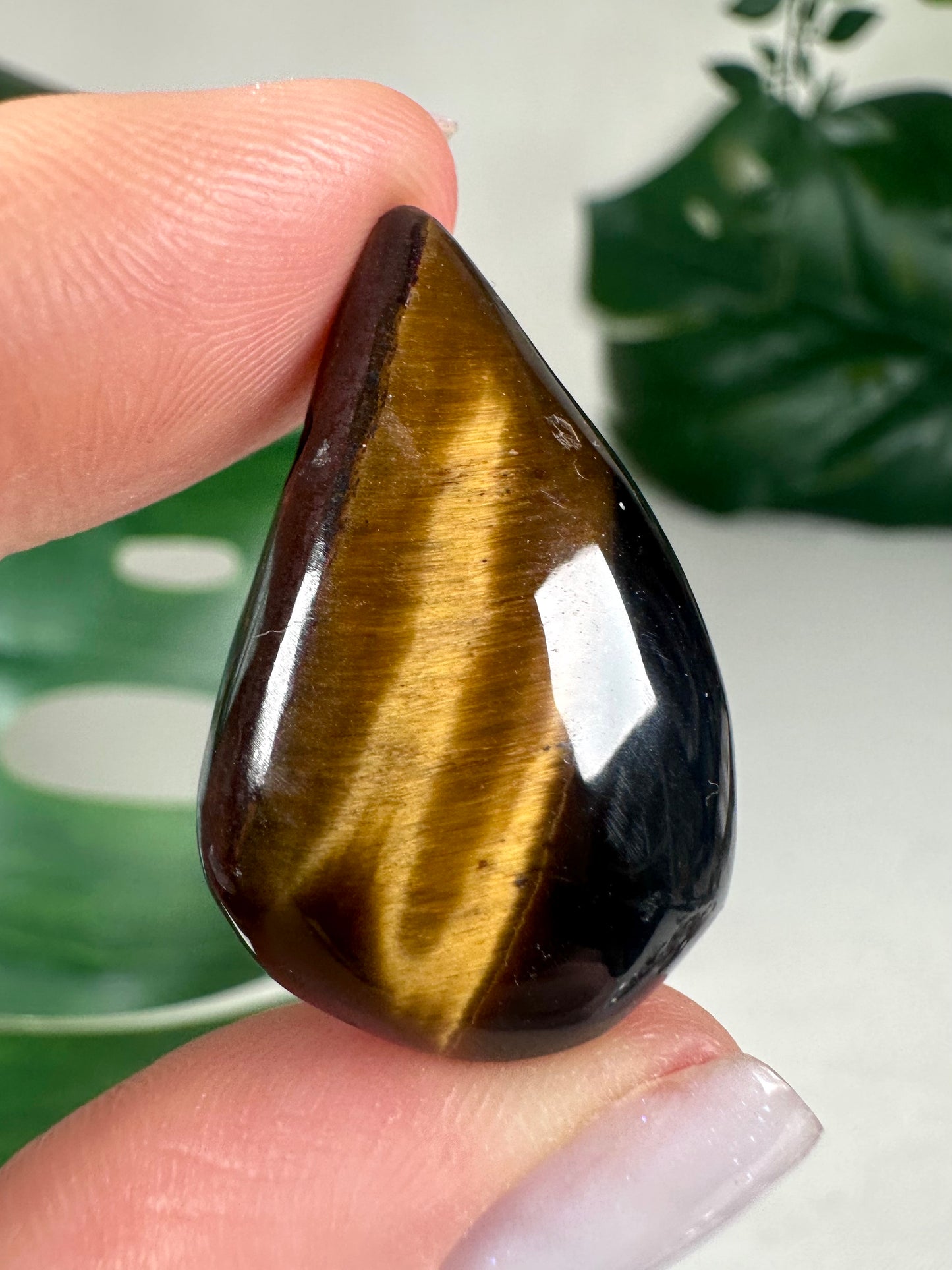 Tigerauge Anhänger Drop Shape