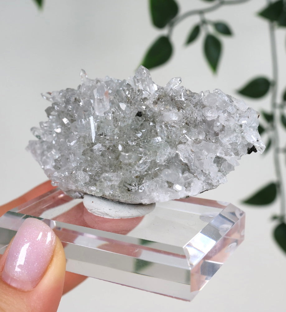Starburst Quarz x Hämatit Goboboseb Nr.168GS