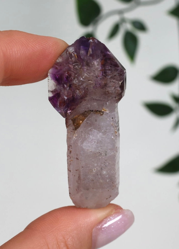 Shangaan Amethyst x Rauchquarz x Hämatit Nr.18SA