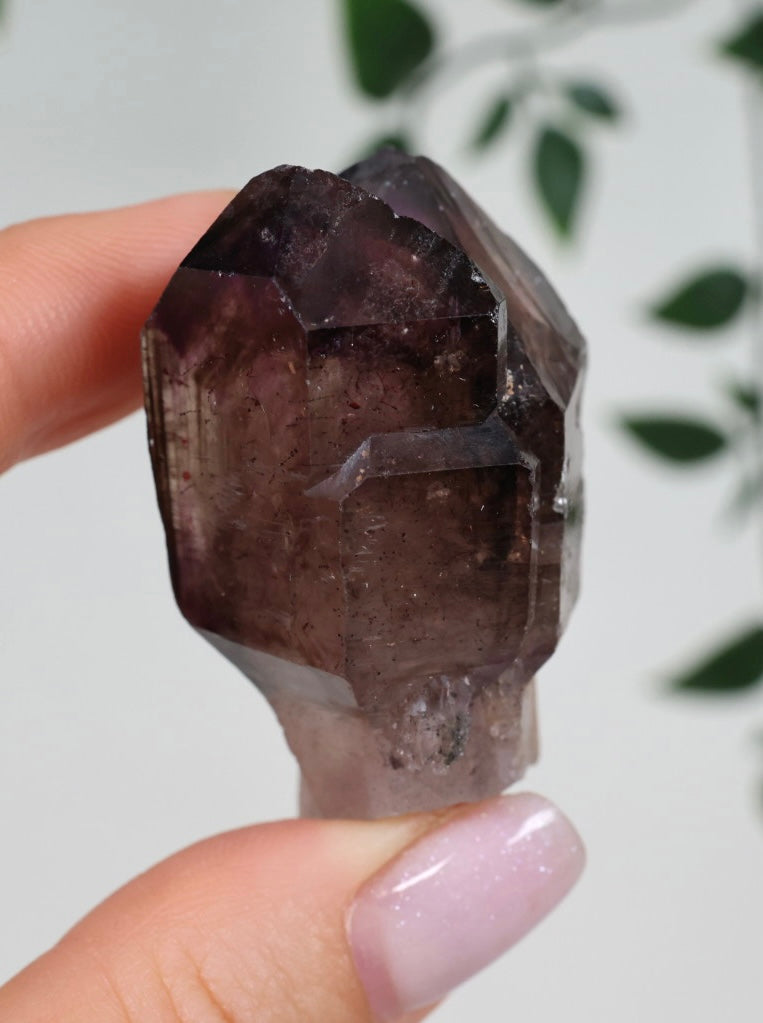 Shangaan Amethyst x Rauchquarz x Hämatit Nr.34SA