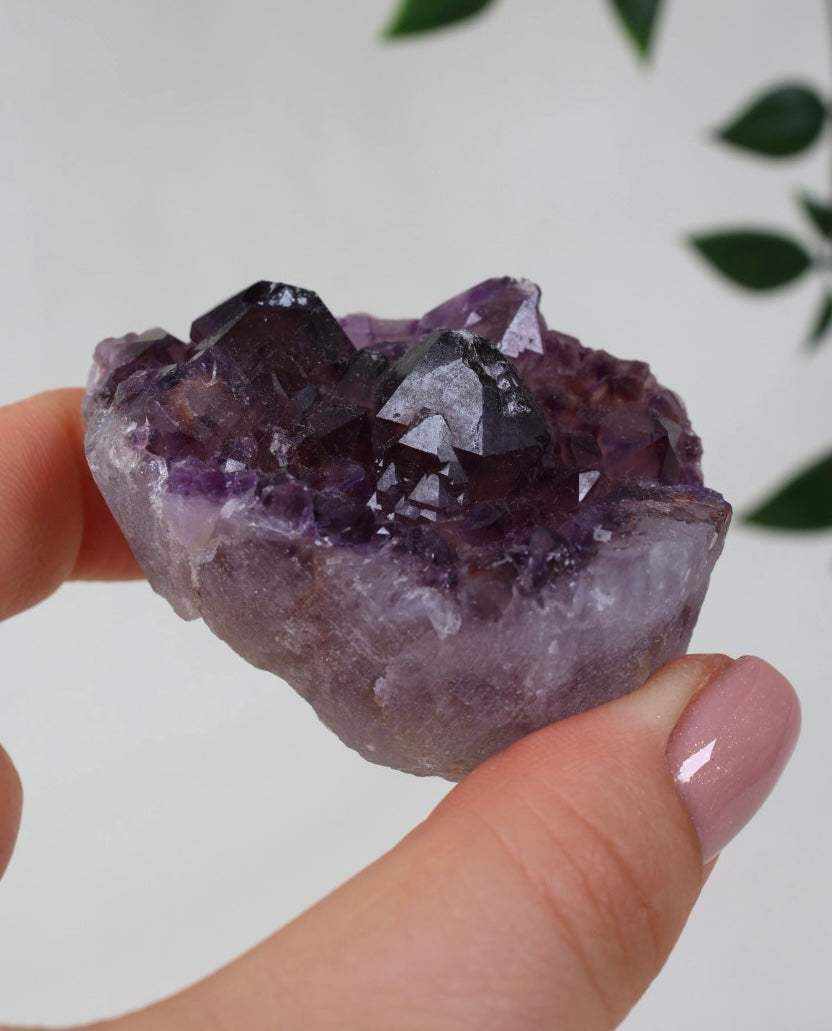Amethyst x Hämatit Nr.31AH