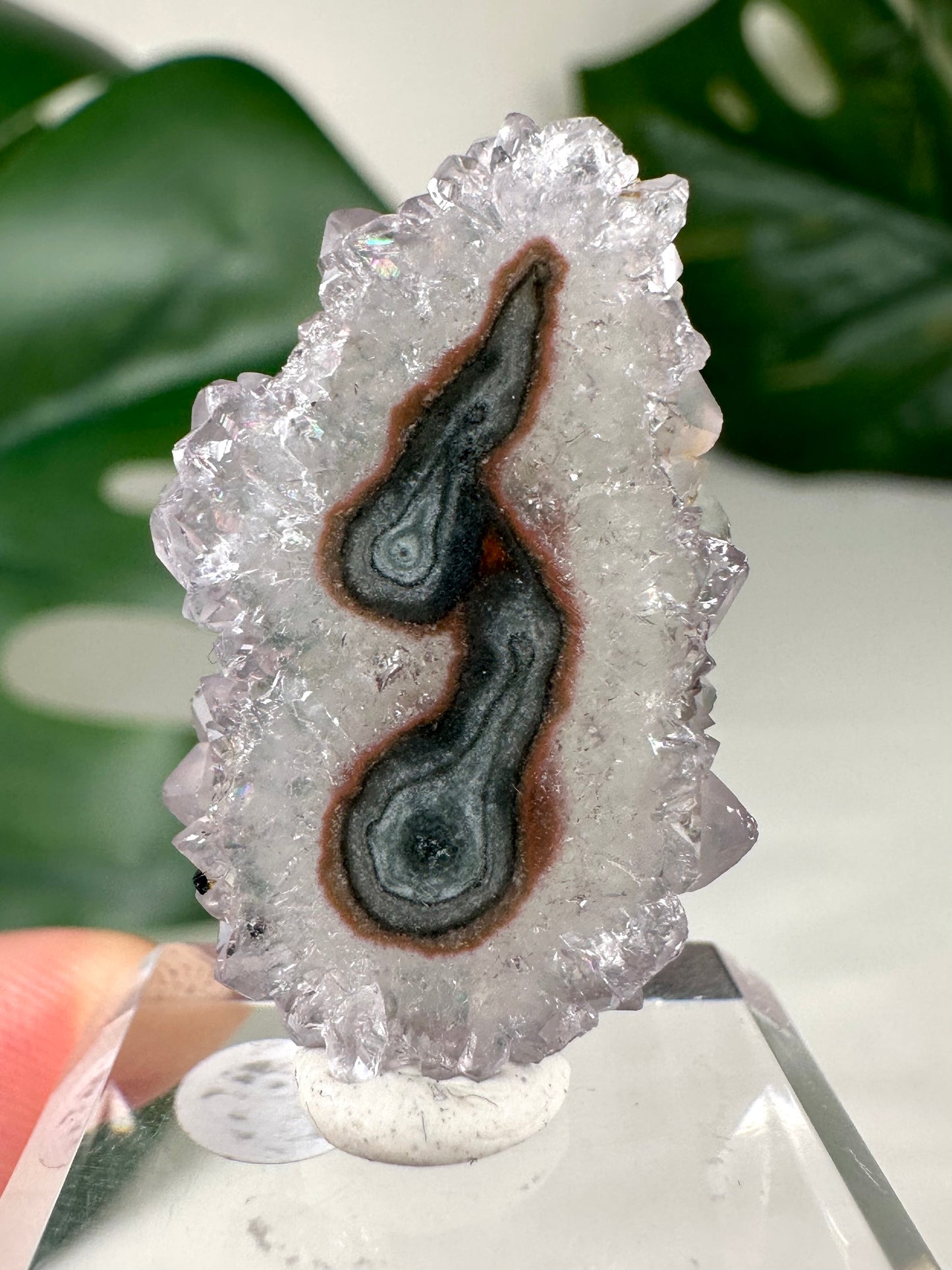 Stalactite Disc - Selection