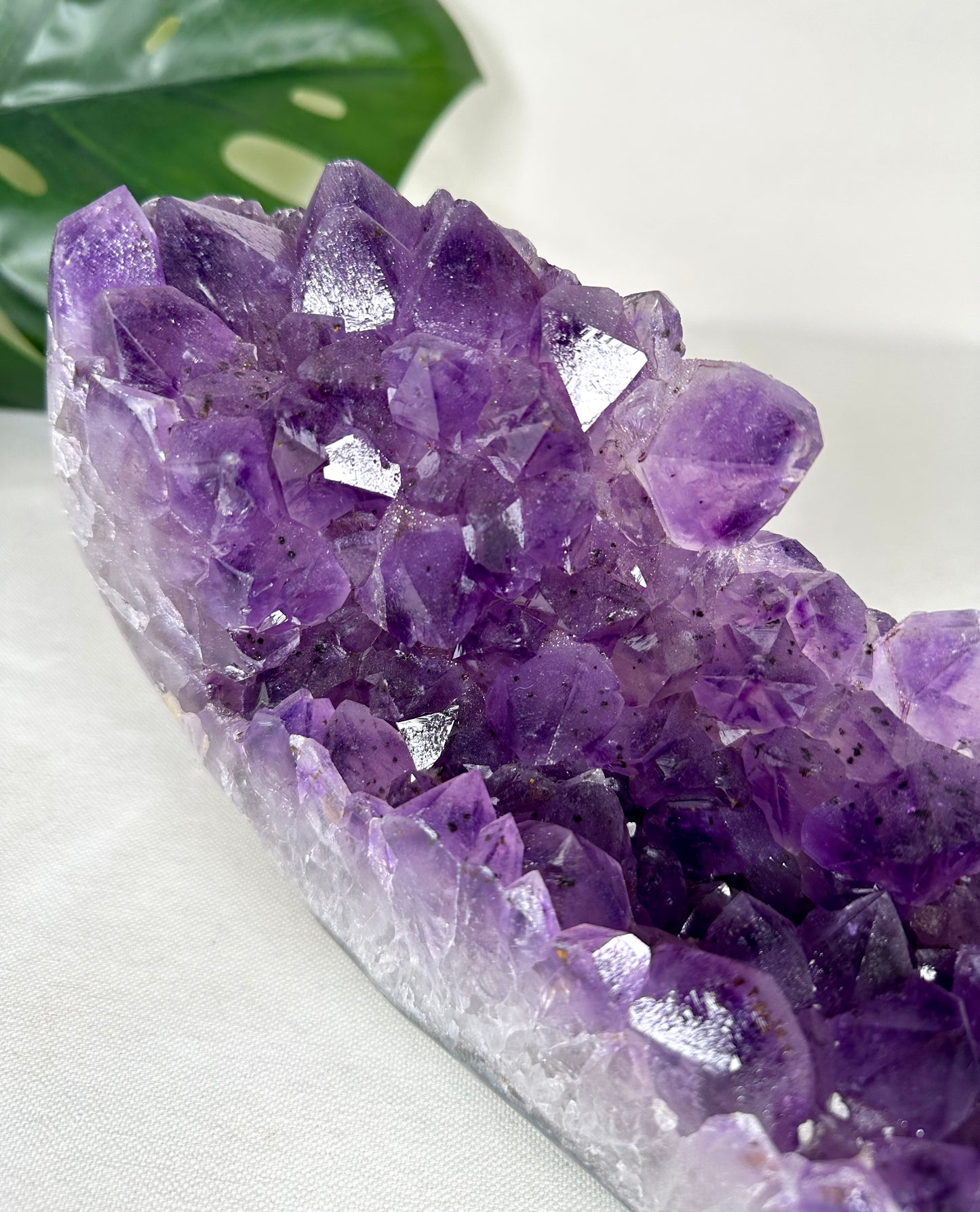 Amethyst Cluster XL No. 580AC