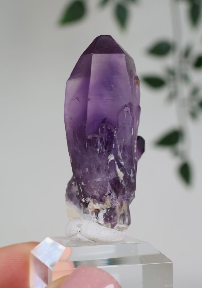 Amethyst - Neufund Nr.47AK