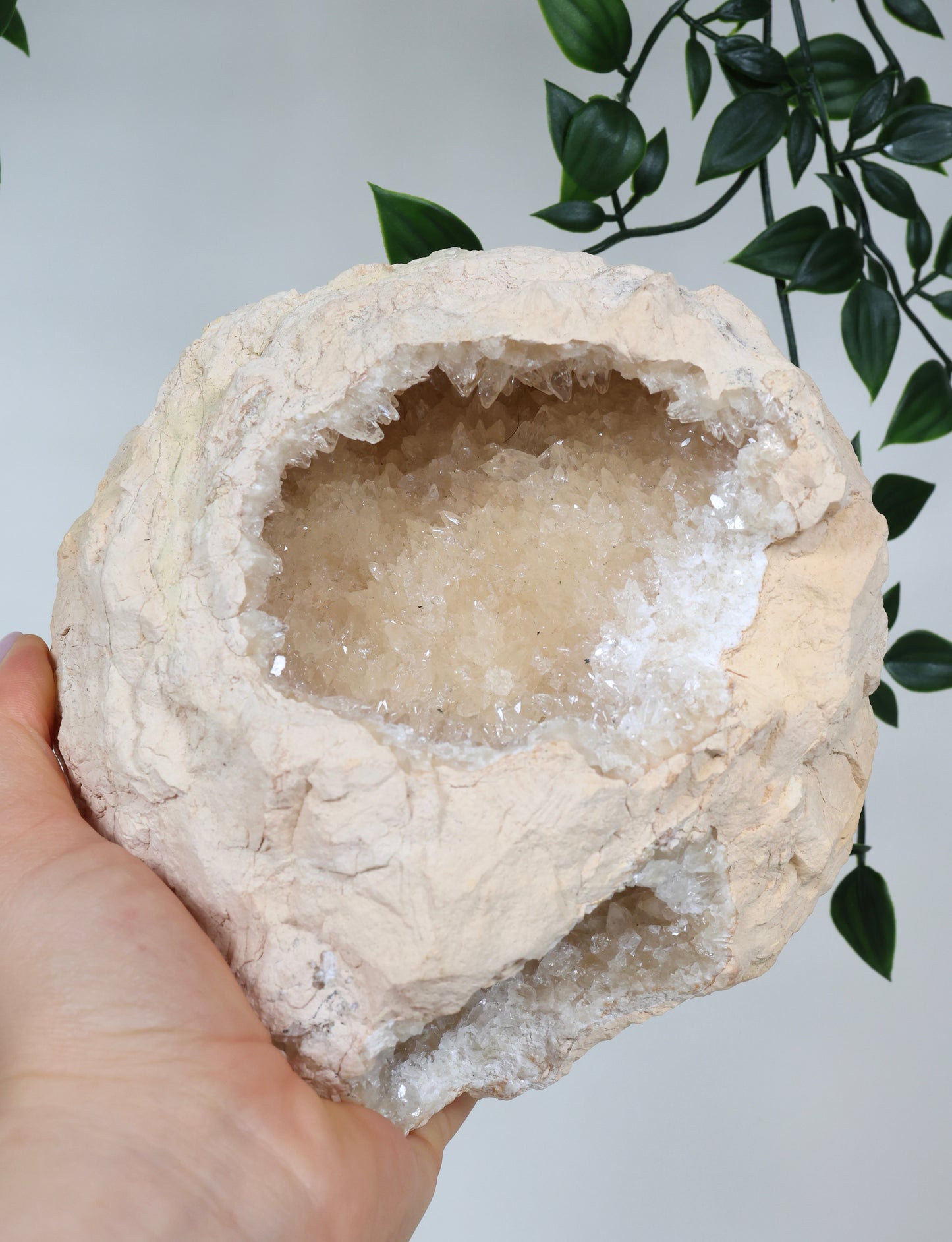 Calcit Geode Nr.45CG