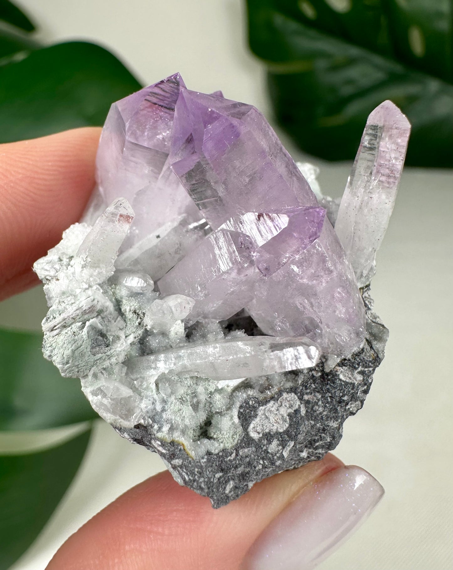 Vera Cruz Amethyst Nr.70VC