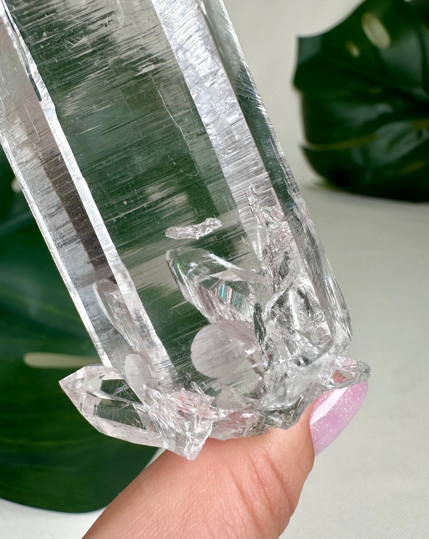 Himalaya Quarz mit Chlorit HQ Nr.570HQ