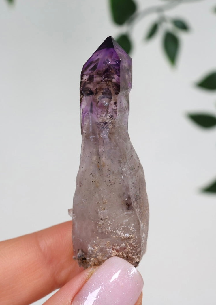 Shangaan Amethyst x Rauchquarz Zepter Nr.23SA