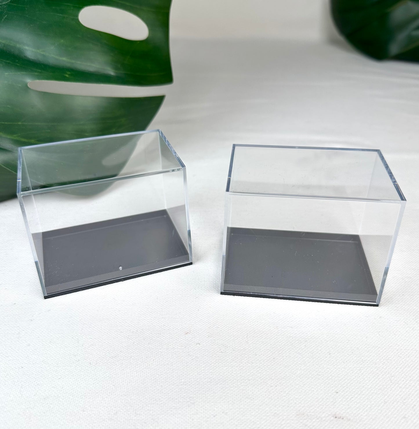 Mineralien Box M - schmal