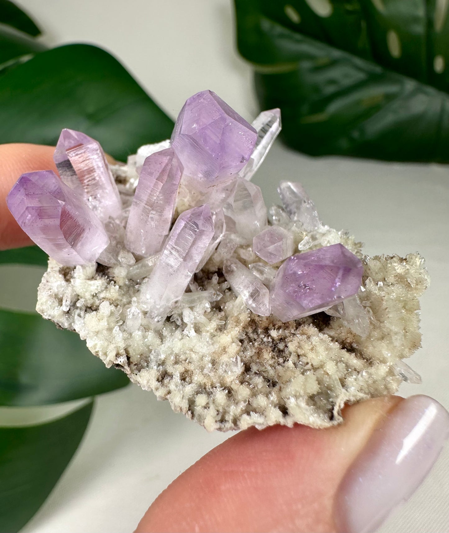 Vera Cruz Amethyst Nr.72VC