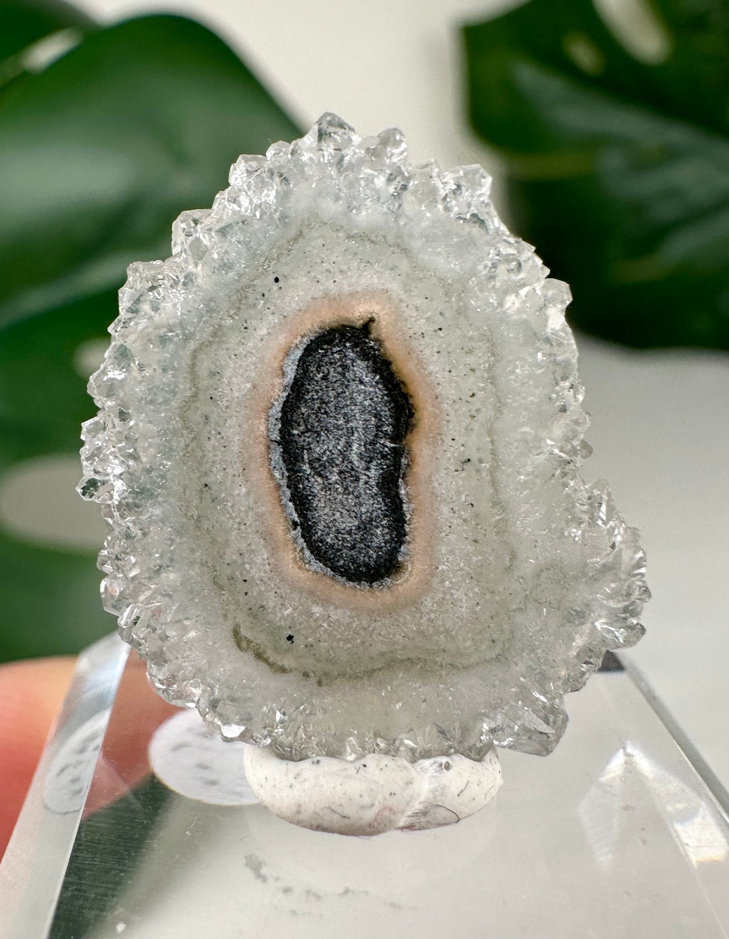 Stalactite Disc - Selection