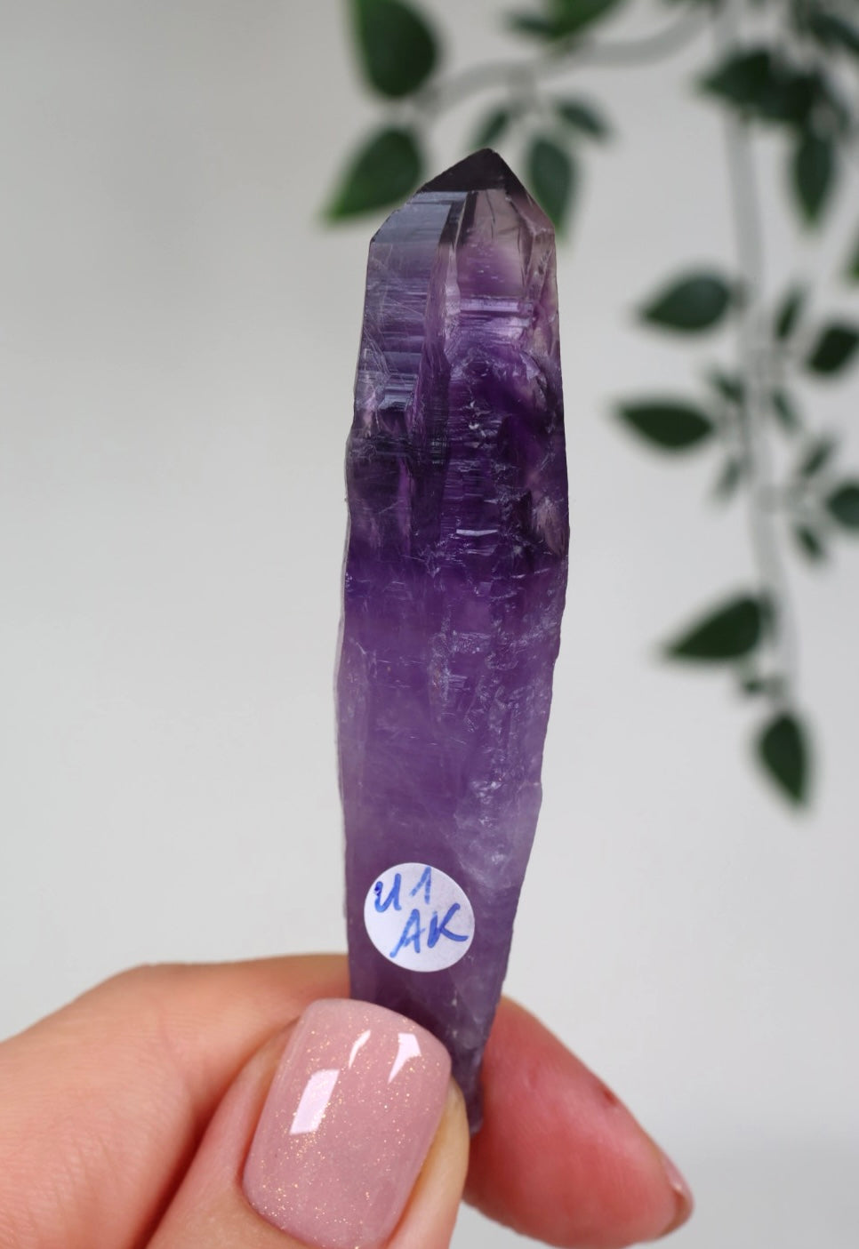 Amethyst - Neufund Nr.41AK