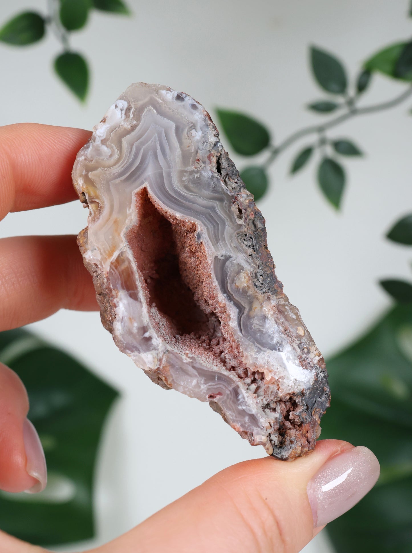 Laguna Achat Geode Nr.80LA