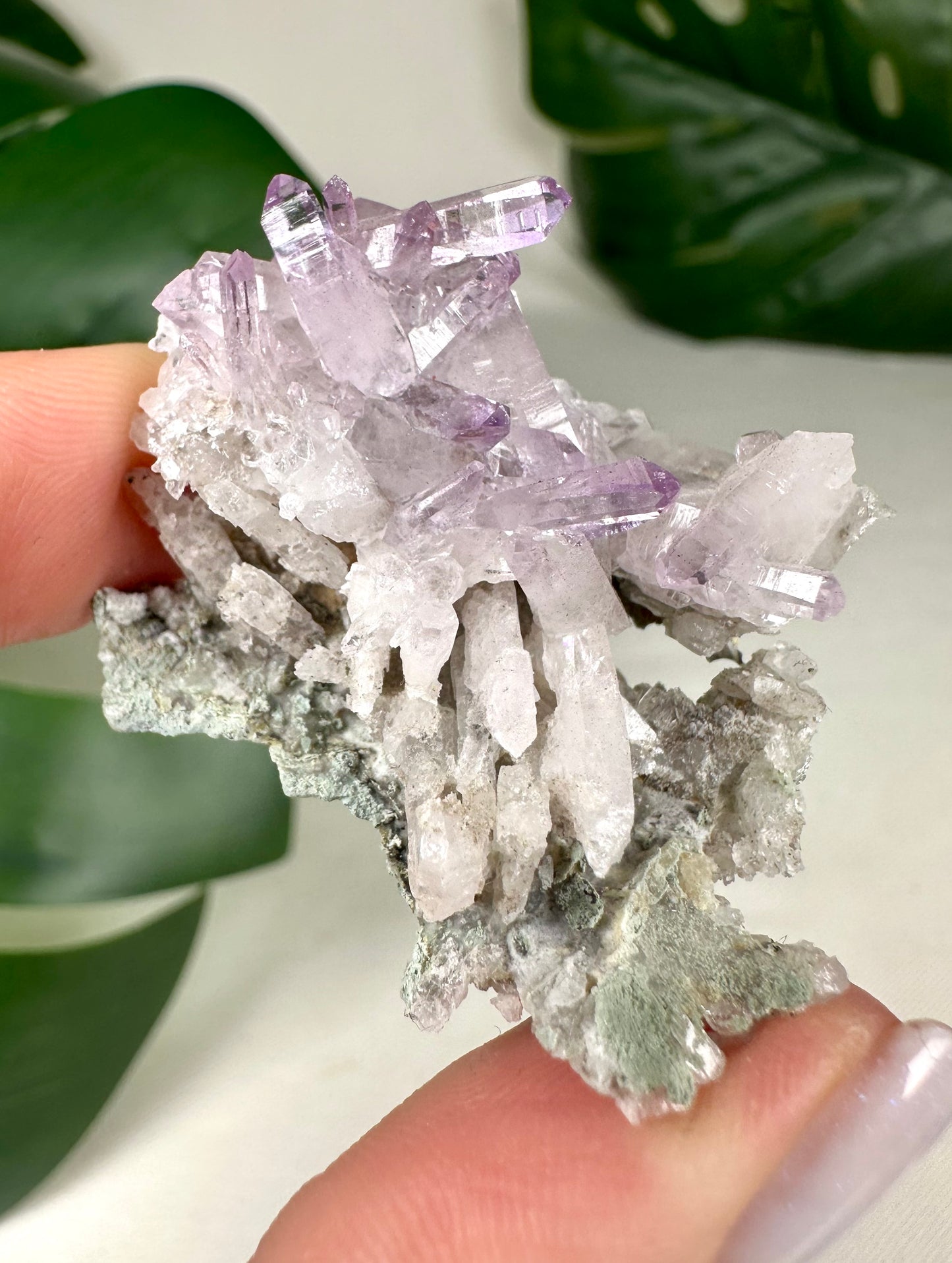 Vera Cruz Amethyst Nr.50VC