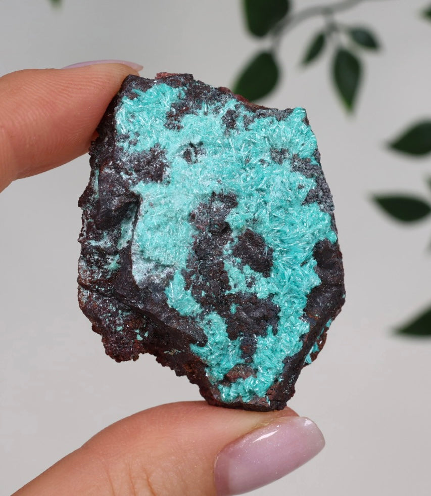 Aurichalcite Nr.30AR