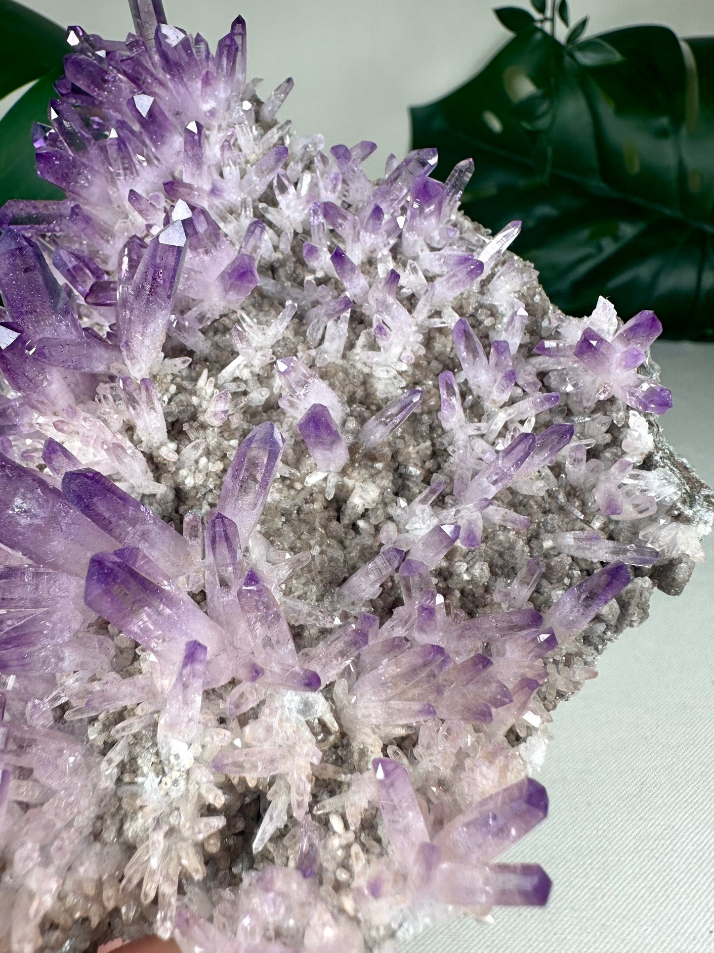 Vera Cruz Amethyst XL Nr.1149VA