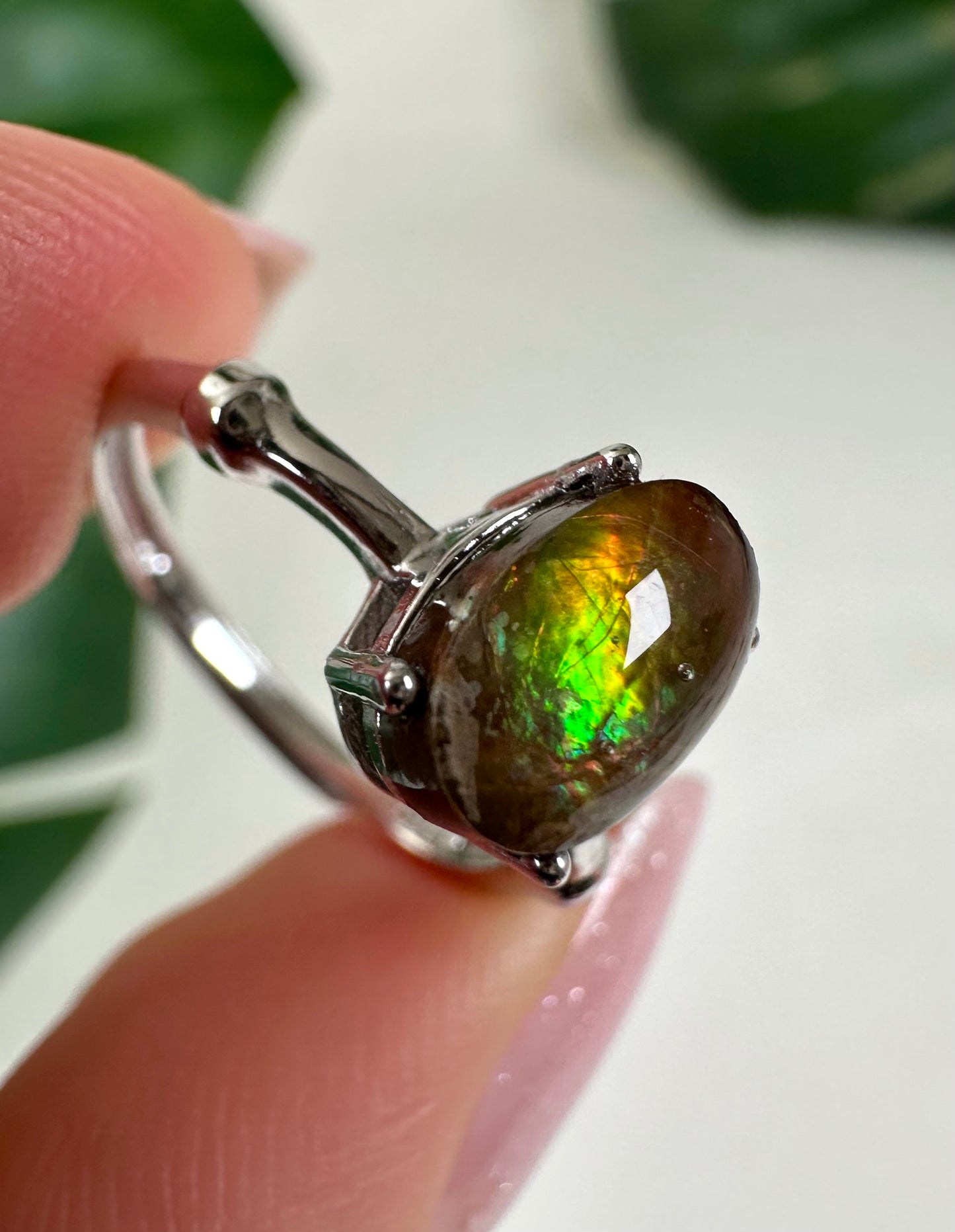 Ammolit Ring in 925 Silber Nr.49A4