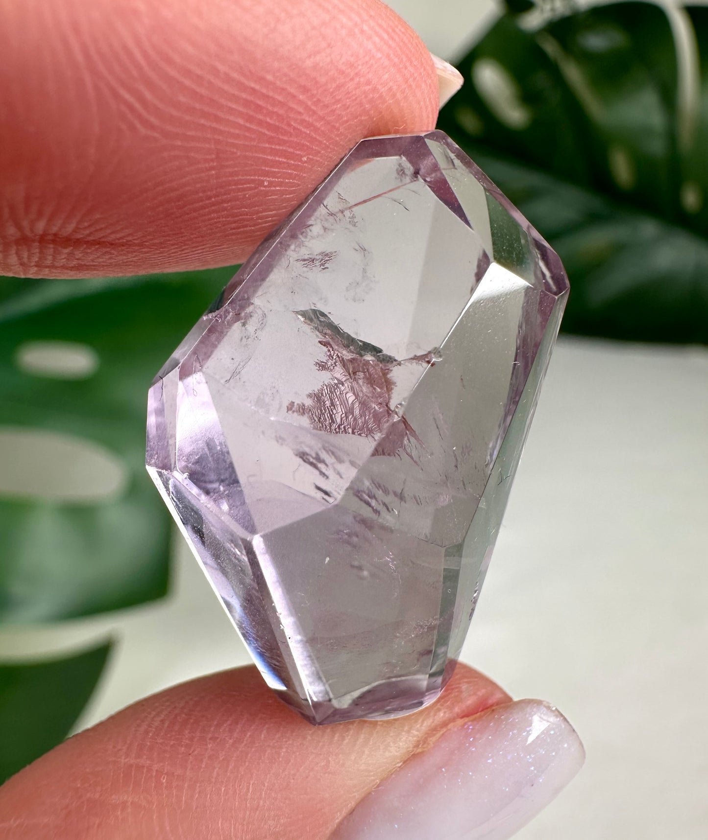Rose de France Amethyst - Selection
