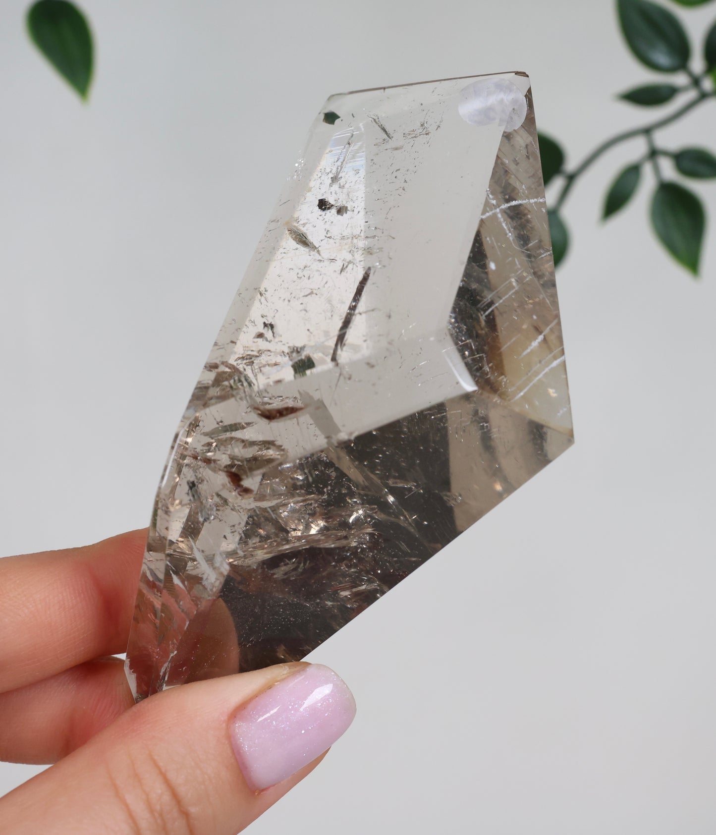Rauchquarz Semi-Polished Nr.50RS