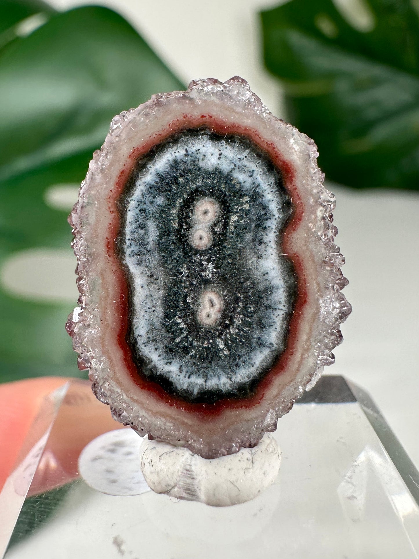 Stalactite Disc - Selection